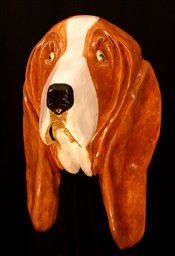 Basset Hound