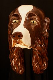 Springer Spaniel