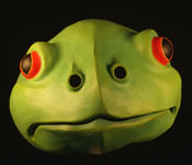 Frog Mask