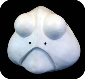 Larval 13 Theatrical Mask